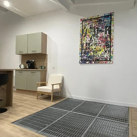 Independante Avec Salle De Bain Privative Dans Maison Renovee